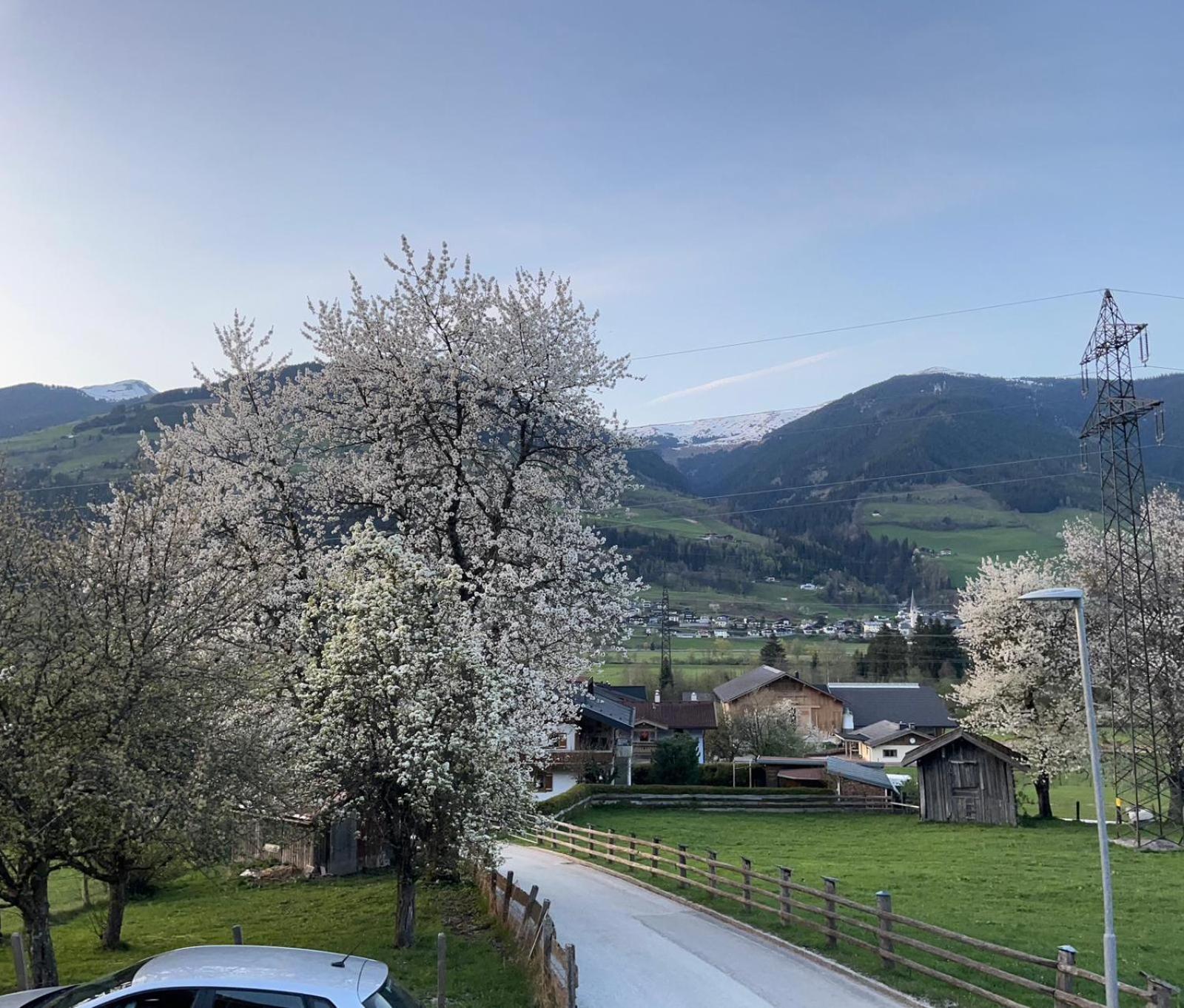 Bichlhaus * Stuhlfelden